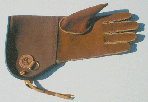 Glove G2: A great glove for most medium sized birds
